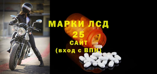 мяу мяу кристалл Корсаков