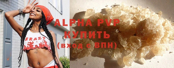 мяу мяу кристалл Корсаков