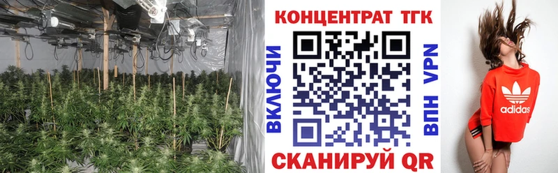 Дистиллят ТГК Wax  Купить закладки  Арск 
